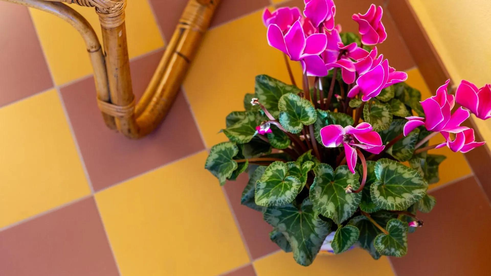 Apartment Ferienwohnung Mch-Marina Charming House Cagliari